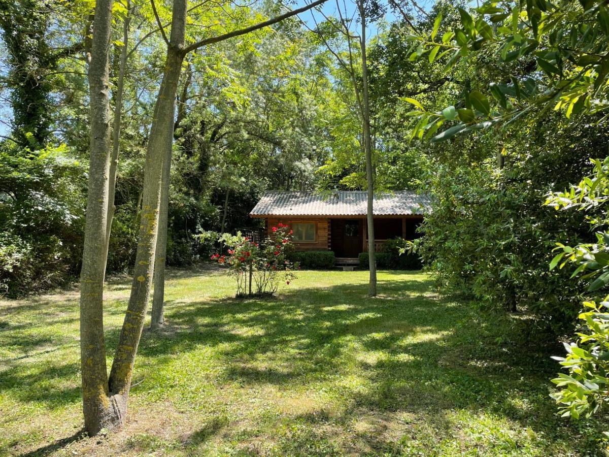 Bastidette Florestane Saint-Rémy-de-Provence Exterior foto
